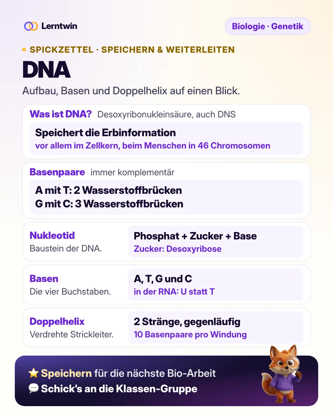 Spickzettel DNA: Desoxyribonukleinsäure, Ort im Zellkern, Nukleotid aus Phosphat, Desoxyribose und Base, Basenpaare A mit T und G mit C, Doppelhelix mit 10 Basenpaaren pro Windung
