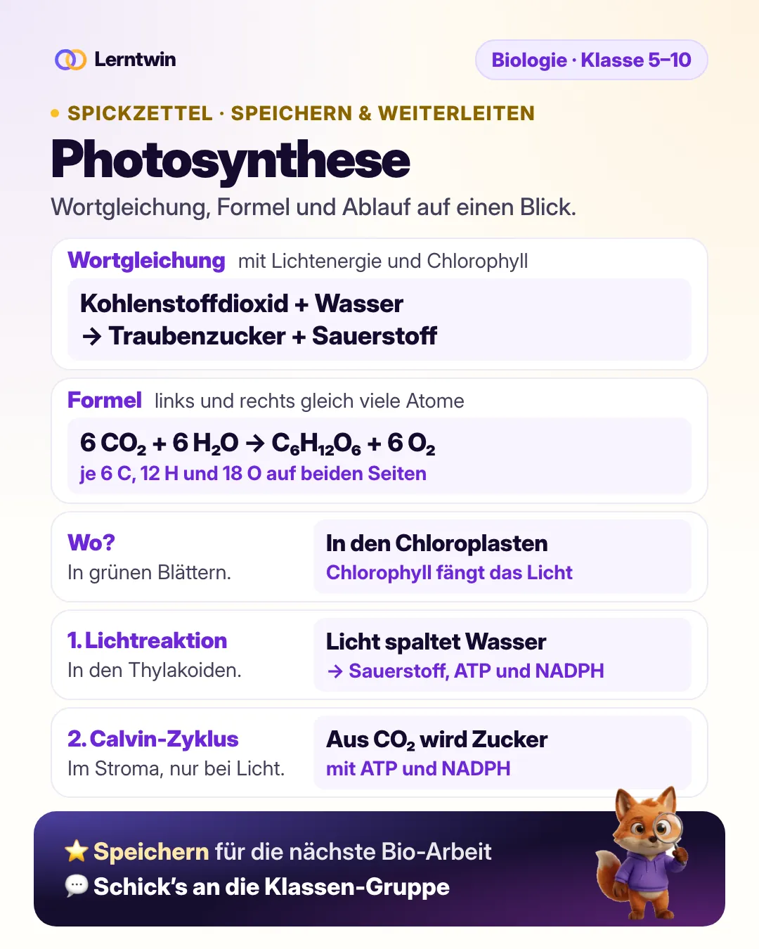 Spickzettel Photosynthese: Wortgleichung, Formel 6 CO₂ + 6 H₂O → C₆H₁₂O₆ + 6 O₂, Ort in den Chloroplasten, Lichtreaktion in den Thylakoiden und Calvin-Zyklus im Stroma